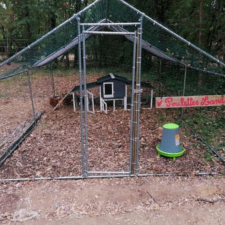 Emplacement Tente Camping Car Saint-Aubin-de-Nabirat Ngoại thất bức ảnh