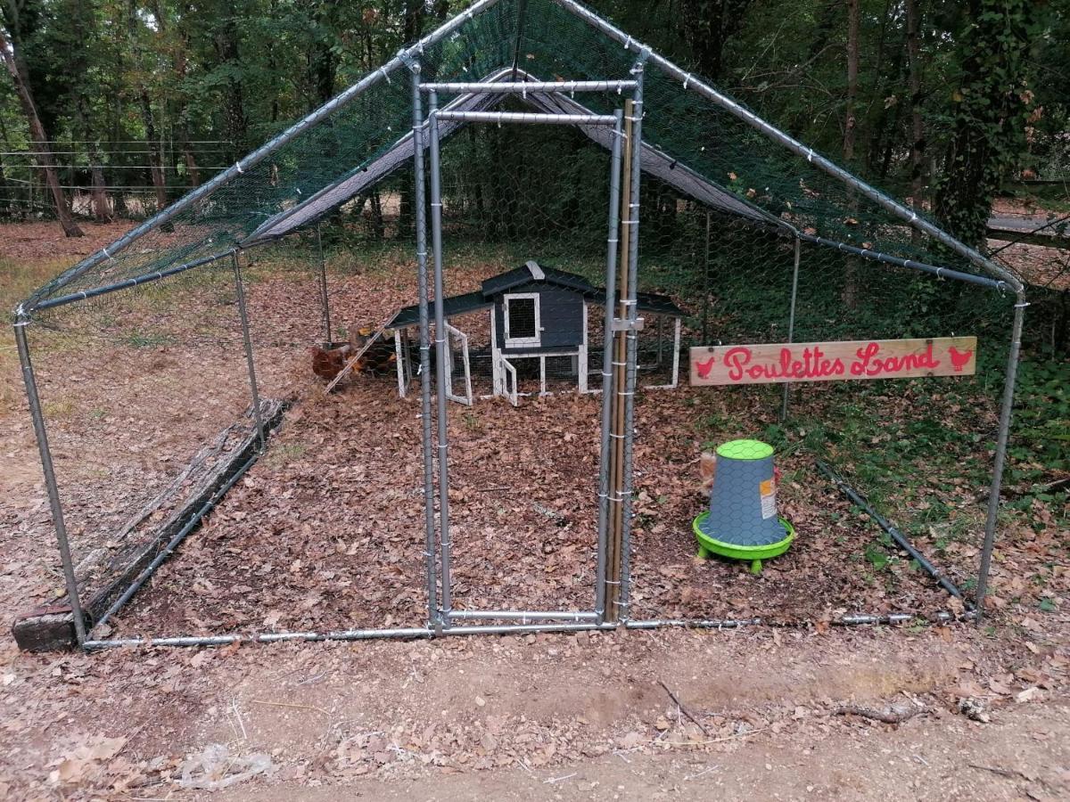 Emplacement Tente Camping Car Saint-Aubin-de-Nabirat Ngoại thất bức ảnh