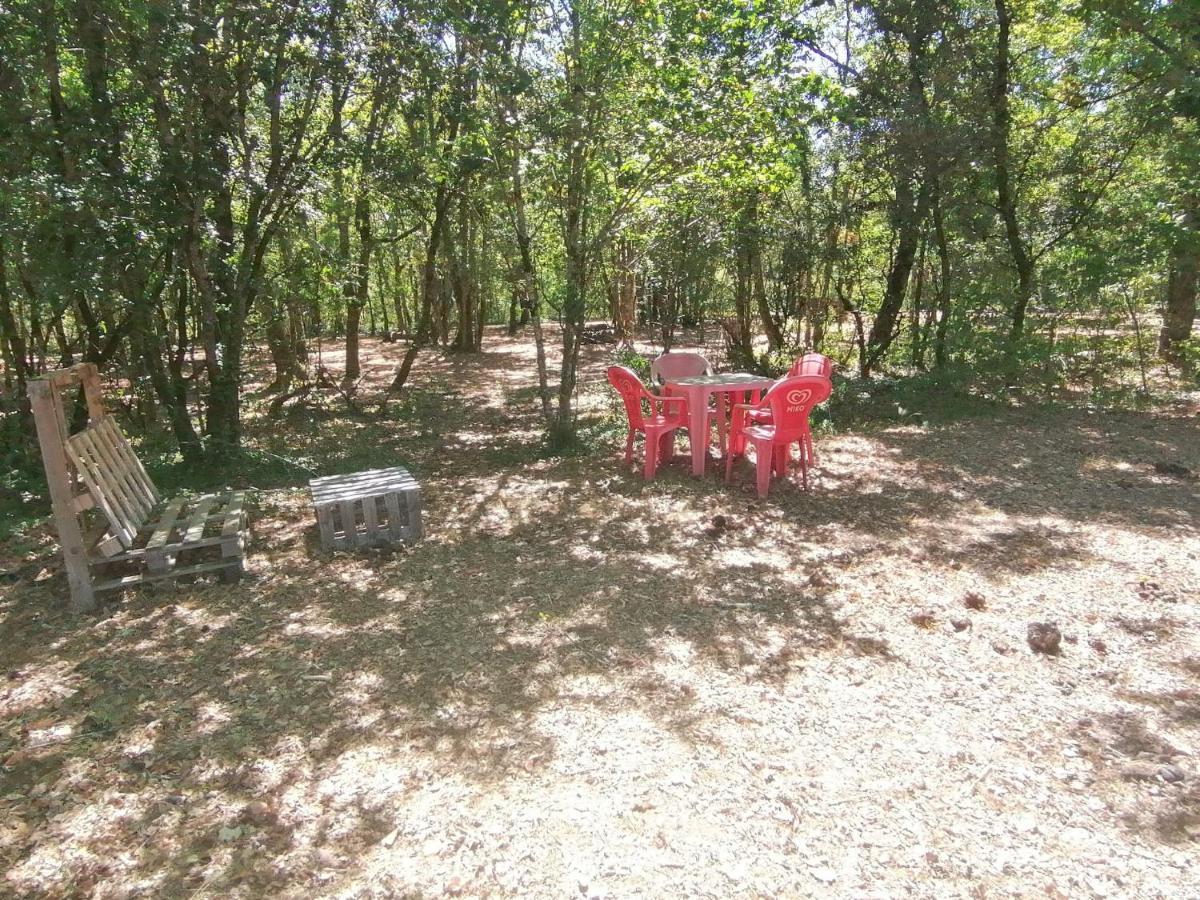Emplacement Tente Camping Car Saint-Aubin-de-Nabirat Ngoại thất bức ảnh